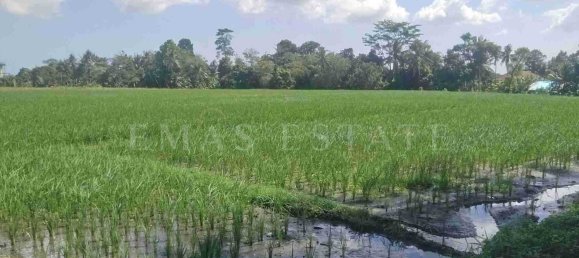  Land in Kediri, Indonesia No. 35 7