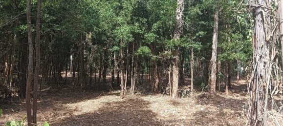 Terreno en Ouca, Portugal No. 269201 25