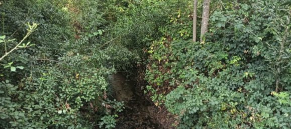 Terreno en Ouca, Portugal No. 269201 7