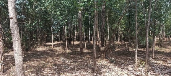 Terreno en Ouca, Portugal No. 269201 26