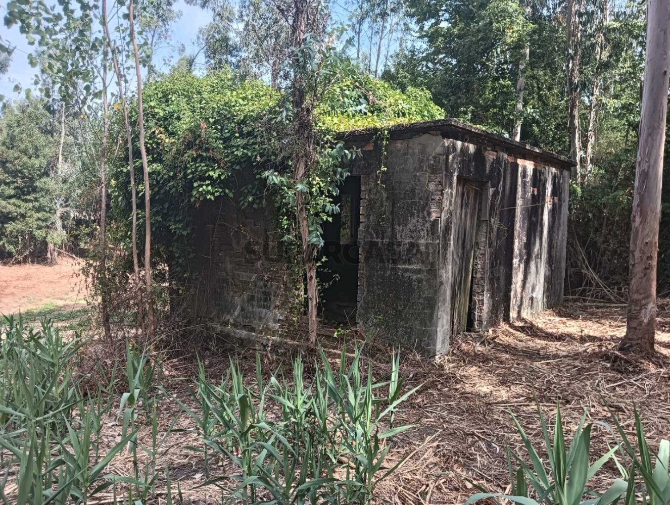  Land in Ouca, Portugal No. 269201