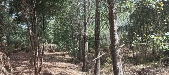 Terreno en Ouca, Portugal No. 269201 9