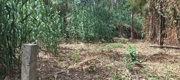 Terreno en Ouca, Portugal No. 269201 10