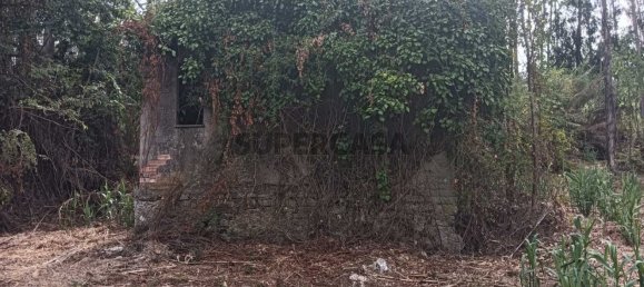 Terreno en Ouca, Portugal No. 269201 3