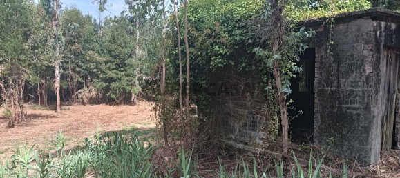 Terreno en Ouca, Portugal No. 269201 5