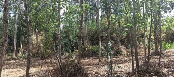 Terreno en Ouca, Portugal No. 269201 14