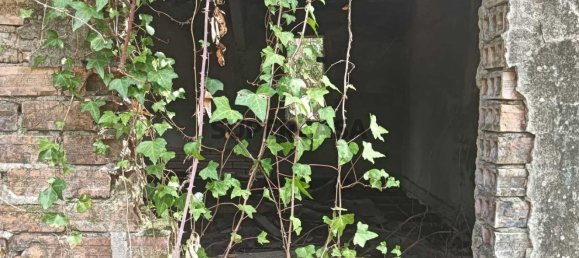 Terreno en Ouca, Portugal No. 269201 2