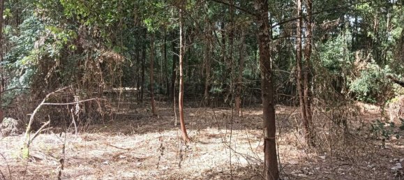 Terreno en Ouca, Portugal No. 269201 13