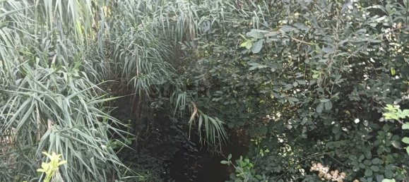 Terreno en Ouca, Portugal No. 269201 6