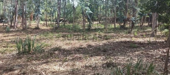 Terreno en Ouca, Portugal No. 269201 17