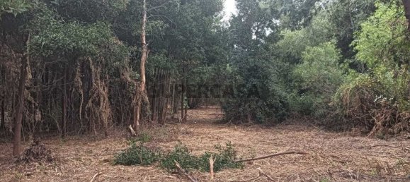 Terreno en Ouca, Portugal No. 269201 8