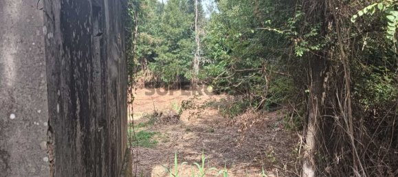 Terreno en Ouca, Portugal No. 269201 4