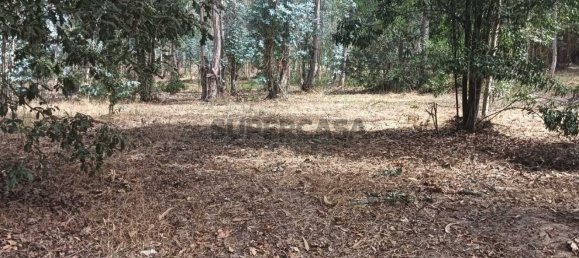 Terreno en Ouca, Portugal No. 269201 18