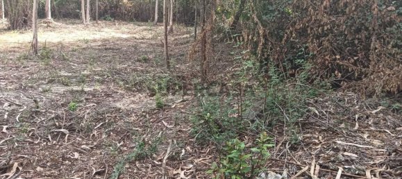 Terreno en Ouca, Portugal No. 269201 23