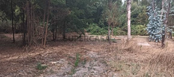 Terreno en Ouca, Portugal No. 269201 15