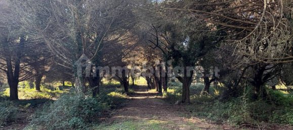 2 Schlafzimmer Villa in Terracina, Italy, Nr. 143689 37