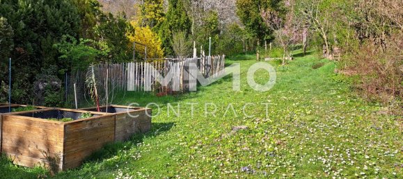 7 rooms Townhouse in Wolkersdorf im Weinviertel, Austria No. 151126 4