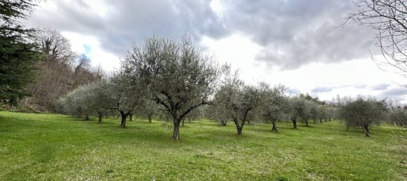 Casa de 2 dormitorios en Roncofreddo, Italy No. 222216 2