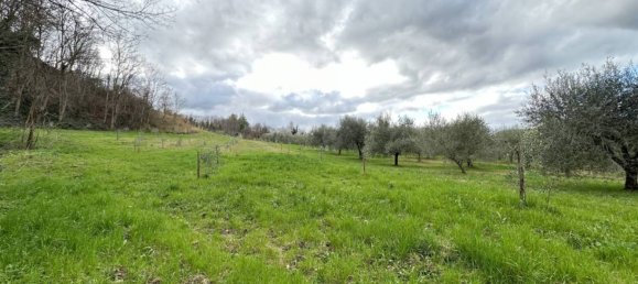 Casa de 2 dormitorios en Roncofreddo, Italy No. 222216 7