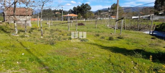 Grundstück in Amarante, Portugal 2640m², Nr. 57443 3