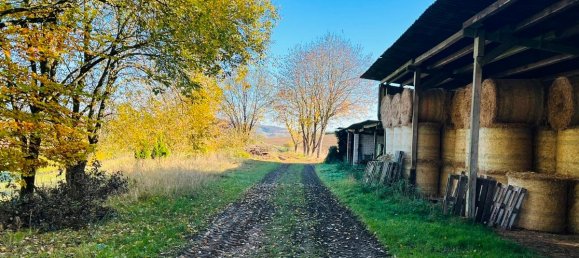 5-salle Maison à Lippe, Germany No. 211514 26