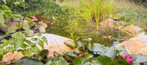 10 rooms Building in Gifhorn, Germany No. 359925 3