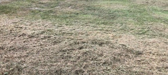 Grundstück in Valle de Mena, Spain 700m², Nr. 36726 3