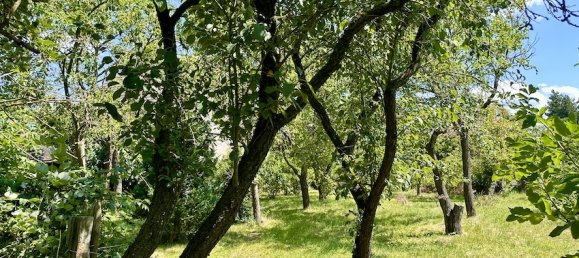 5-Zimmer Haus in Vorpommern-Greifswald, Germany, Nr. 150573 14