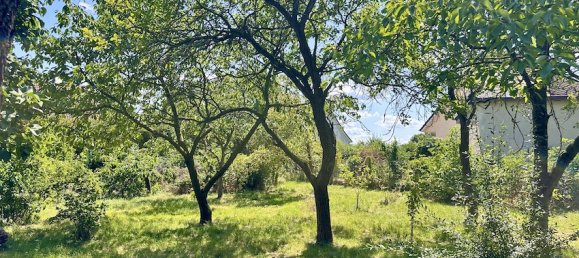 5-Zimmer Haus in Vorpommern-Greifswald, Germany, Nr. 150573 13