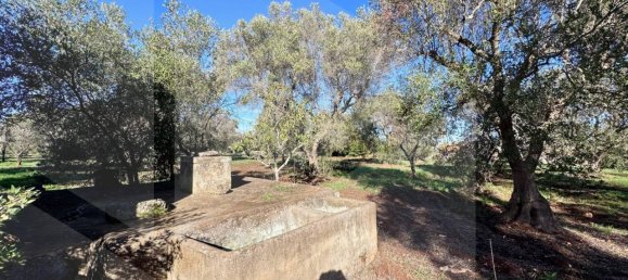 3-Zimmer Villa in Ceglie Messapica, Italy, Nr. 20453 6