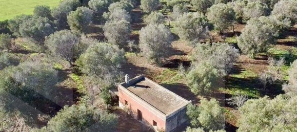 3-Zimmer Villa in Ceglie Messapica, Italy, Nr. 20453 2