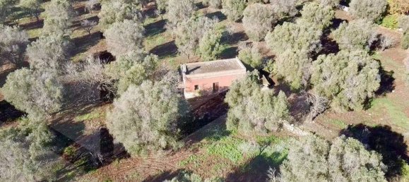 3-Zimmer Villa in Ceglie Messapica, Italy, Nr. 20453 5