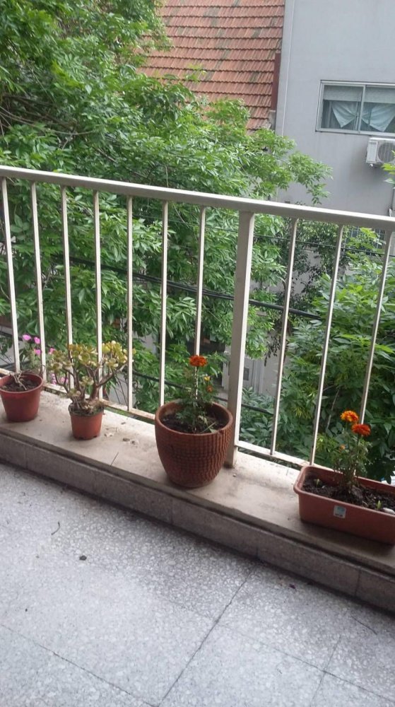 4 bedrooms Apartment in Buenos Aires, Argentina No. 102965