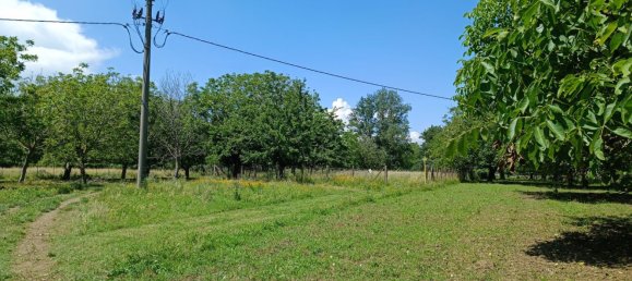 1650m² Land in Santa Maria a Vico, Italy No. 255175 3