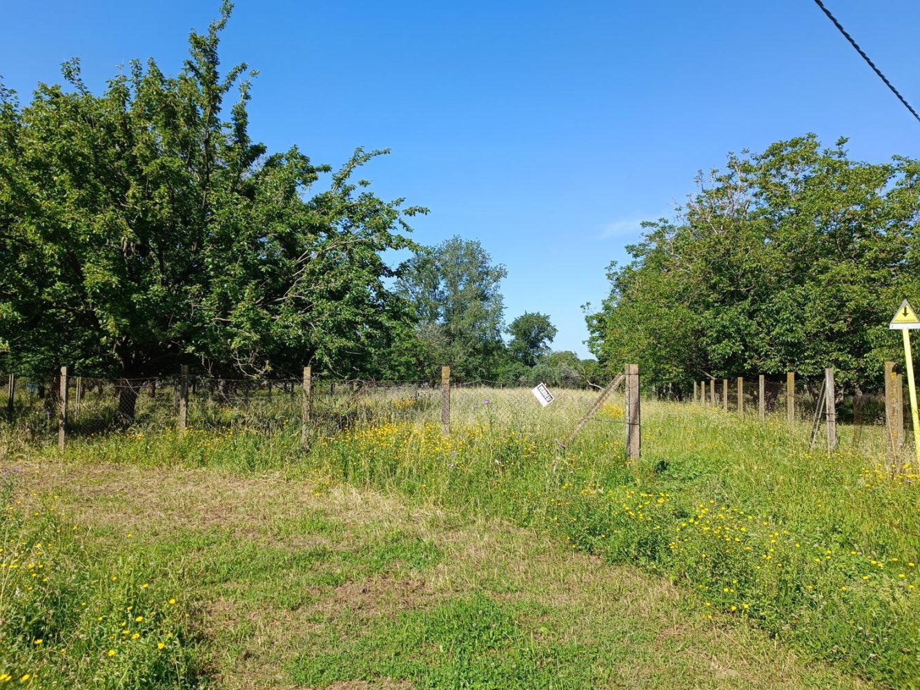 1650m² Land in Santa Maria a Vico, Italy No. 255175