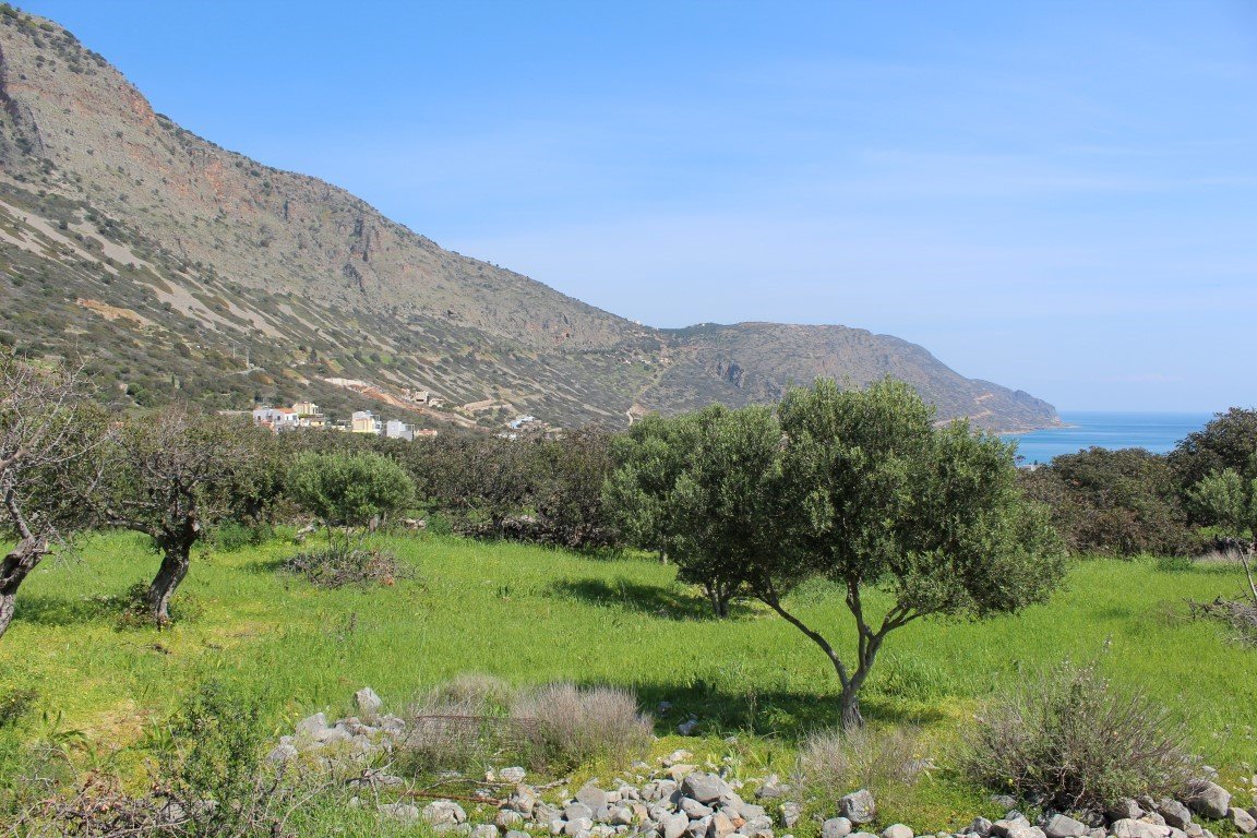 Hotel em Agios Nikolaos, Greece 5889 m² N.º 5059