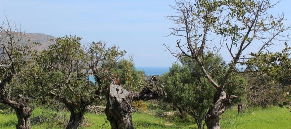 Hotel em Agios Nikolaos, Greece 5889 m² N.º 5059 8