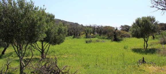 Hotel em Agios Nikolaos, Greece 5889 m² N.º 5059 7
