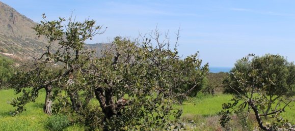 Hotel em Agios Nikolaos, Greece 5889 m² N.º 5059 9