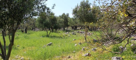 Hotel em Agios Nikolaos, Greece 5889 m² N.º 5059 6