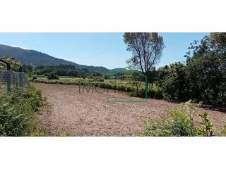 Terrain à Caminha, Portugal No. 208534