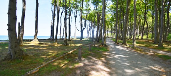 2 rooms Apartment in Harz, Germany No. 128819 12