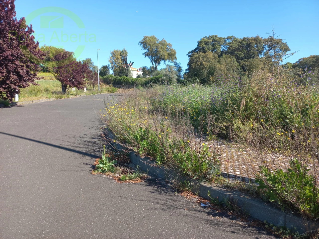  Land in Cartaxo, Portugal No. 102840