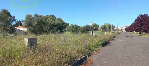 Land in Cartaxo, Portugal No. 102840 7