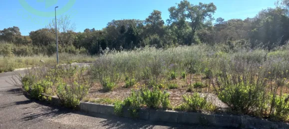 Land in Cartaxo, Portugal No. 102840 4