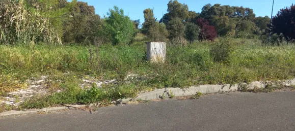 Land in Cartaxo, Portugal No. 102840 5