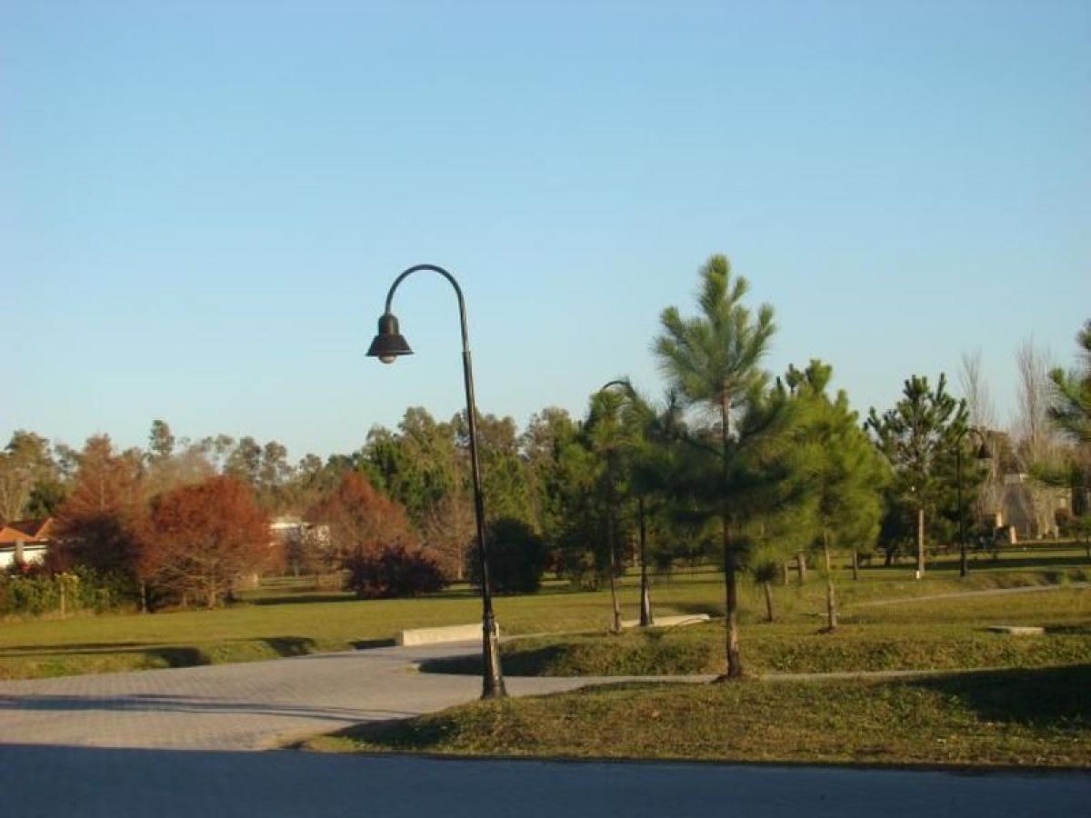  Land in Campana, Argentina No. 50242