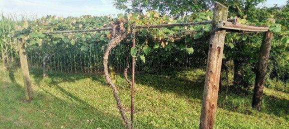 Terreno de 4 dormitorios en Kukmirn, Austria No. 235066 21