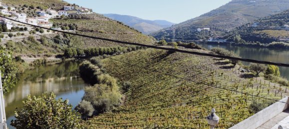 6 bedrooms House in Peso da Regua, Portugal No. 115821 23