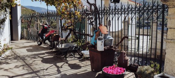 6 bedrooms House in Peso da Regua, Portugal No. 115821 14